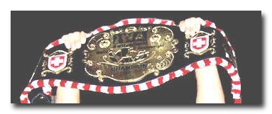 Wrestlinggurt